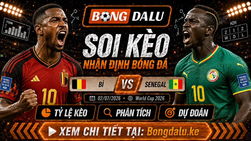 Lực lượng dự kiến của Bỉ vs Senegal Lực lượng dự kiến của Bỉ vs Senegal
